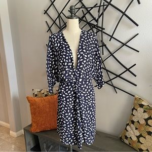 Navy and White, V-Neck Dress